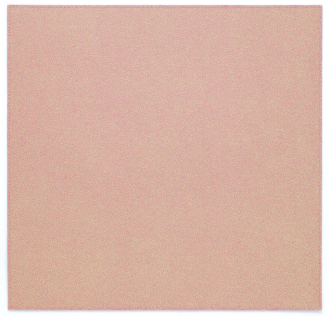 Skate Easy Care Mat