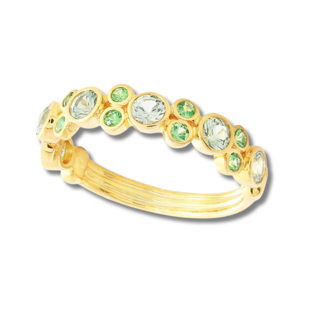 The Amazon Ring