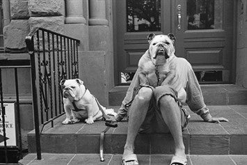 Elliot Erwitt's Dogs Coffee Table Book