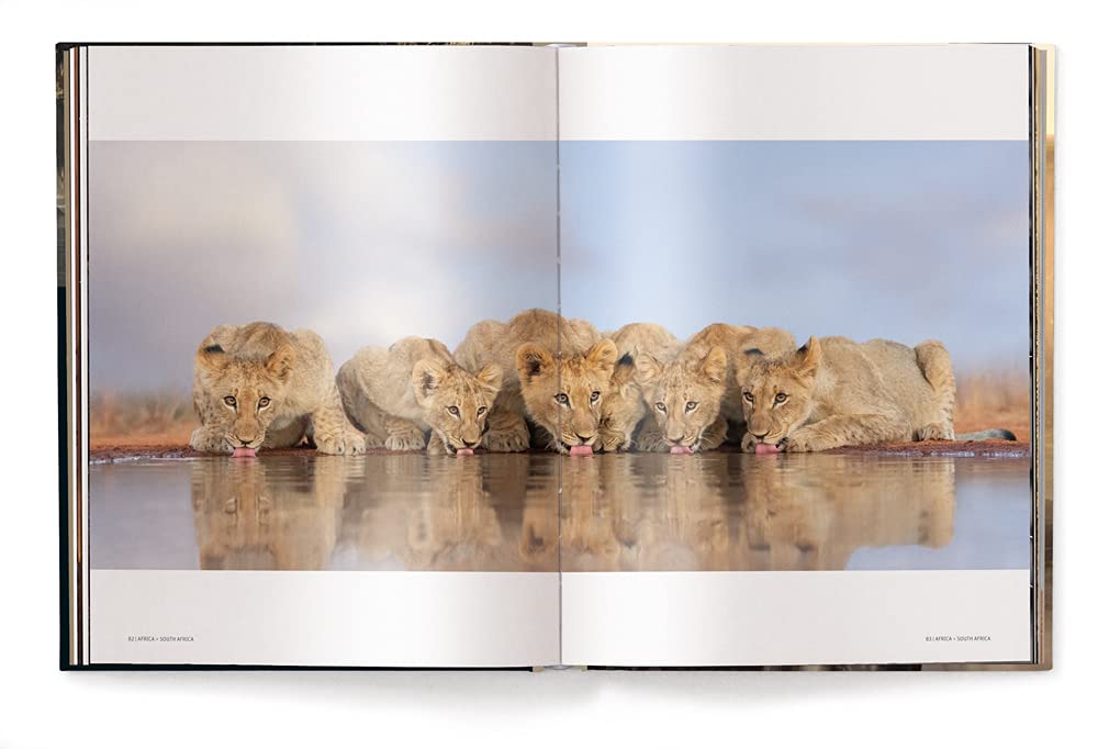 Mother: A Tribute to Mother Earth Coffee Table Book