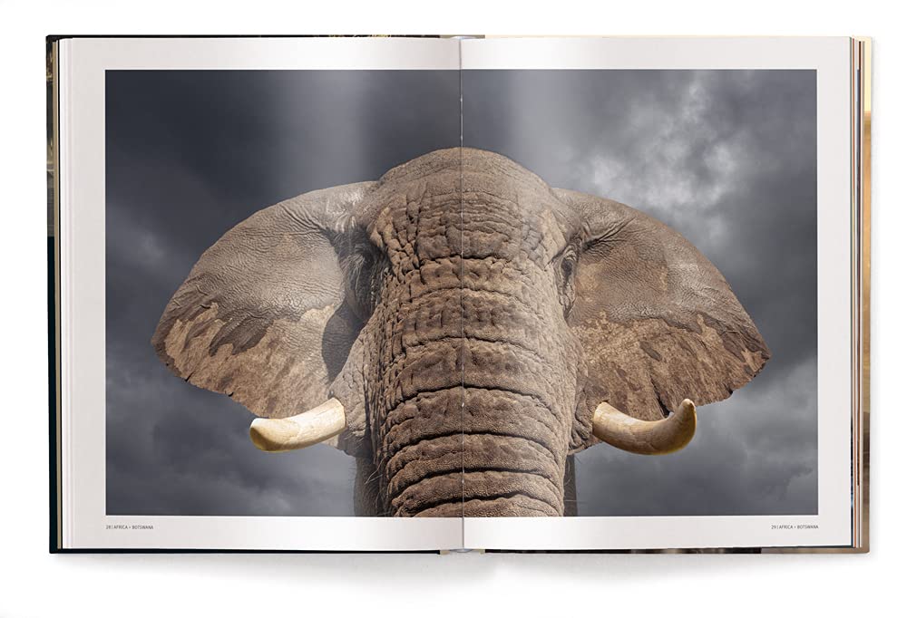 Mother: A Tribute to Mother Earth Coffee Table Book
