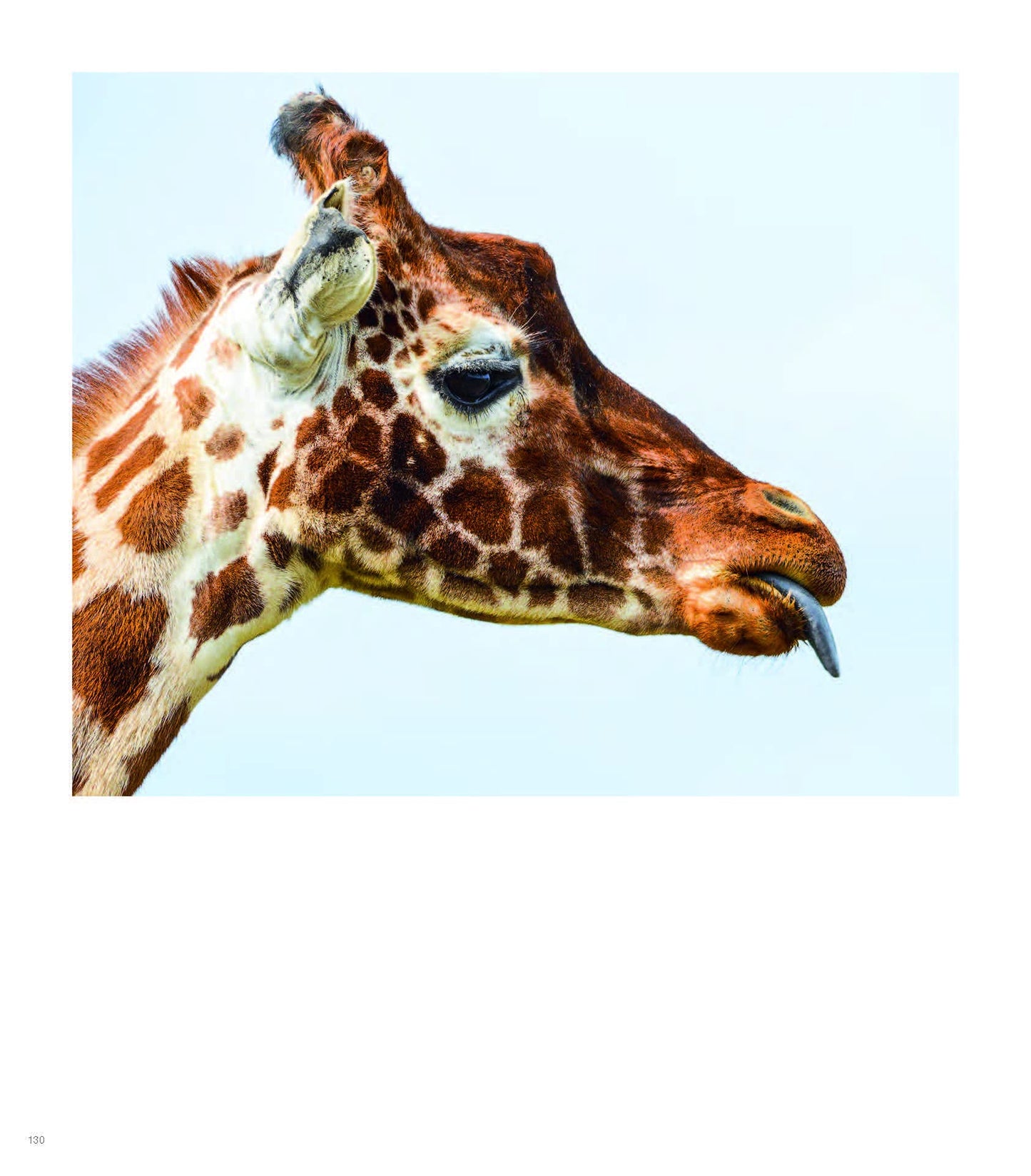 Wild World: Nature Through An Autistic Eye