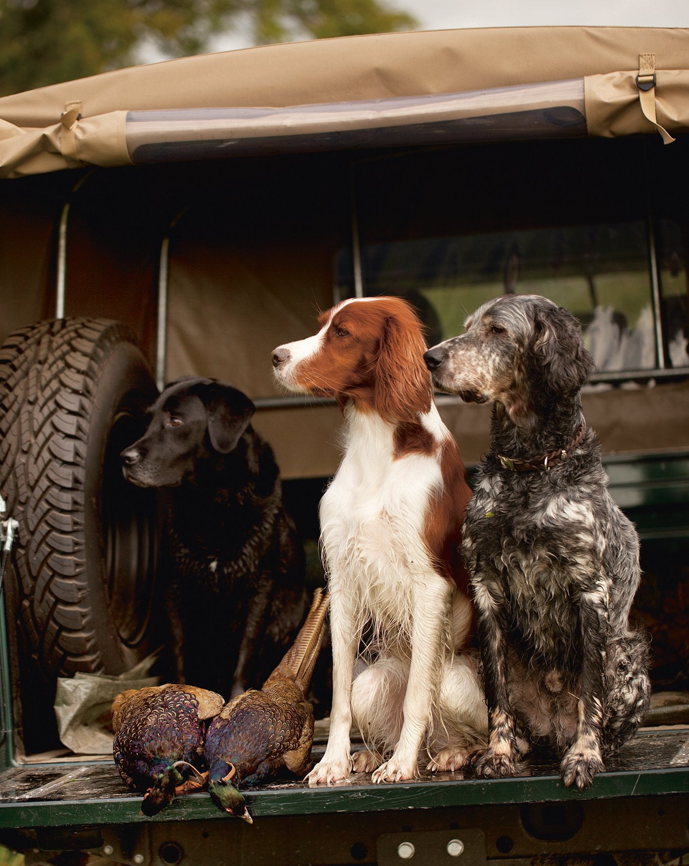 The Hunting Book