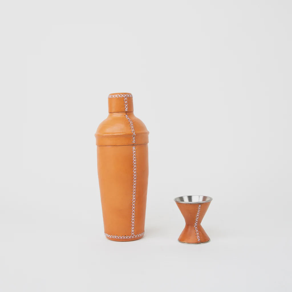 Martini Shaker Set