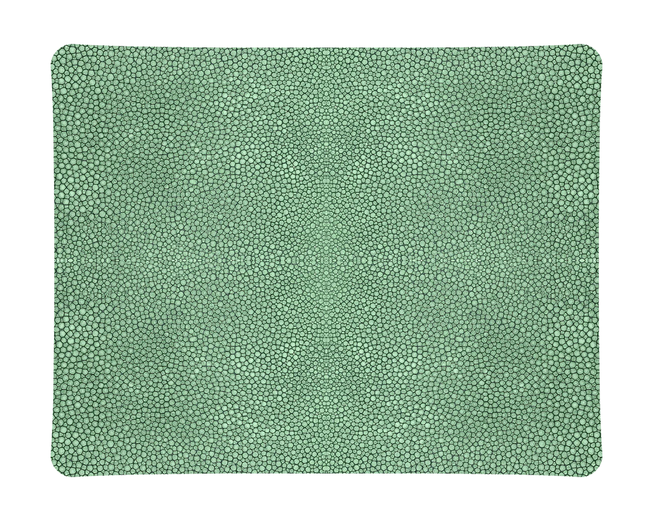 Shagreen Acrylic Tray