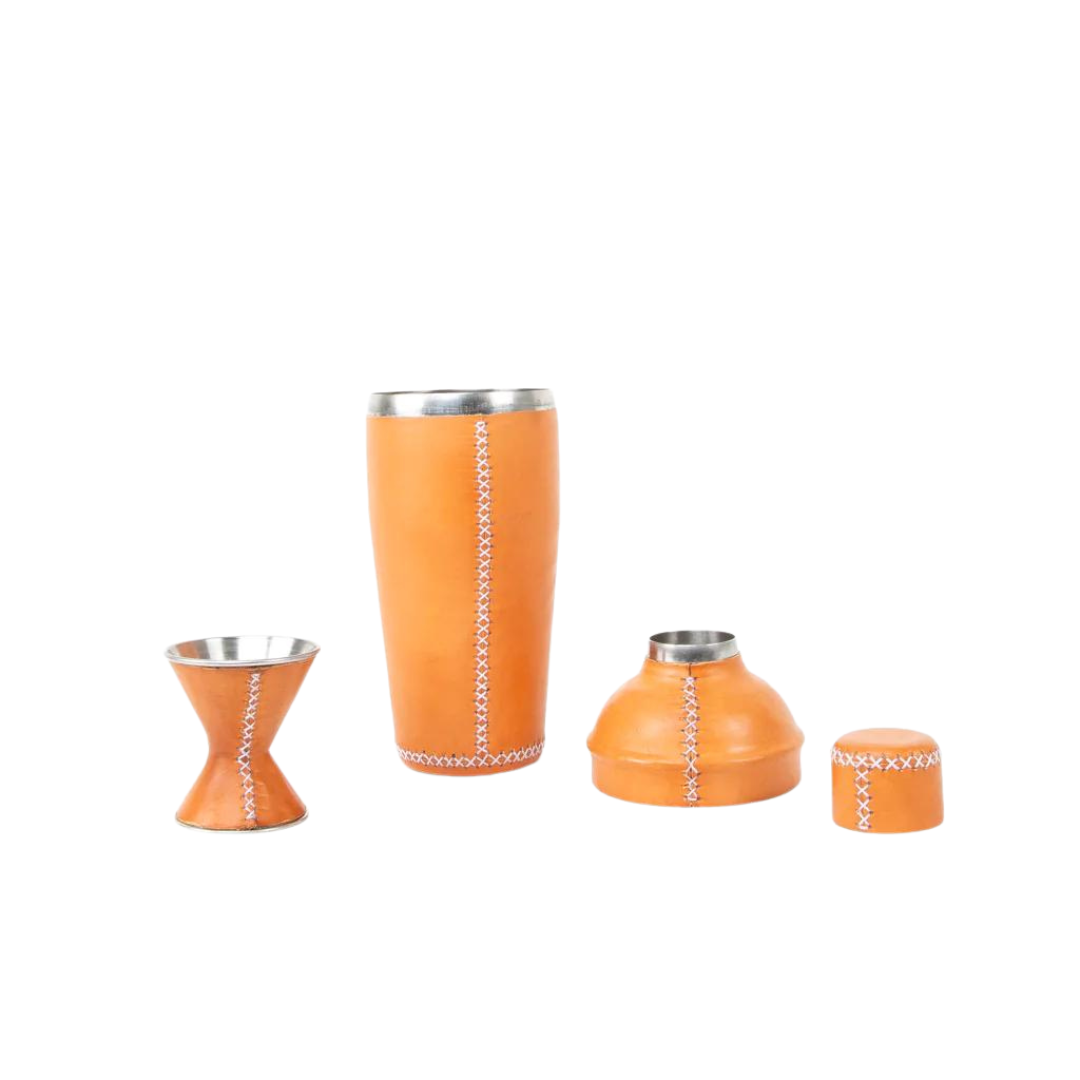 Martini Shaker Set