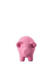 Small Pig Rose