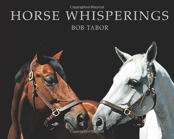 Horse Whisperings Small Format: Portraits by Bob Tabor Coffee Table Book